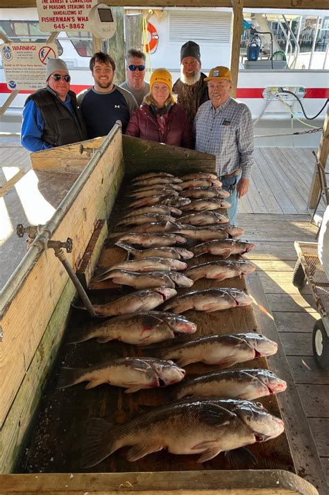 fishing report lewes de|Fishing Report .